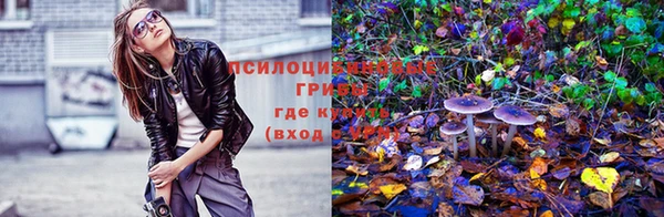 соль курить ск Алзамай